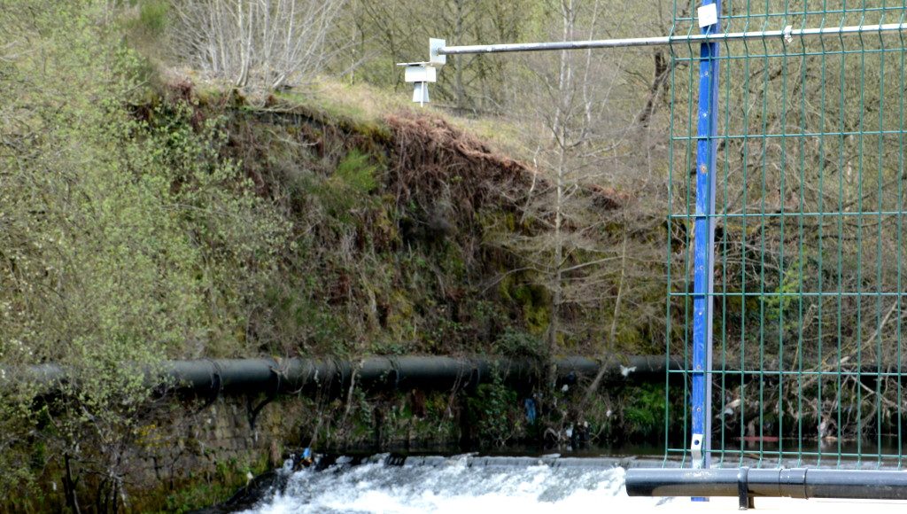 River level sensor at Tenterfields Business Park